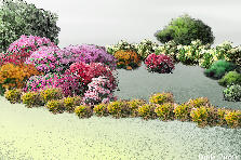 Garden design: Garden design:countryside garden