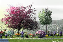 Garden design: Garden design:wall