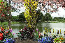 Garden design:HI EVERYONE!!!! DISFRUTE MUCHO EN ESTE HERMOSO PARQUE CUANDO FUI AYER CON MI NI~NA, MI ESPOSO Y LA SUEGRA.... Garden design:YAUCO PARK.....