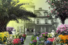 Garden design: Garden design:σπιτι