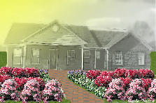 Garden design: Garden design:a very filled up yard