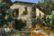 Garden design:Grandma's Old Family Home