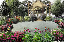 Garden design:Serenity