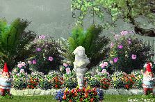 Garden design:i love my garden