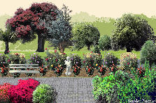 Garden design:a walk in the park