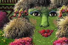 Garden design:Thank you Zachy, Marijana, Estelviolet, and Salma. You are great ! You inspired me ! I had to join the group!
Seriously, I don´t like to see you sad, Zachy !!!!!!! I want to see you strong, devouring life at big mouth and always happy !!!!
But now, this is my story ( hope a big smile from you. ) : :)))) Garden design:SMILE, Zachy !!!!!