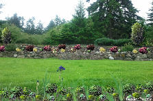 FAIRWAY ROCKERY - Autumn