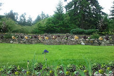 FAIRWAY ROCKERY - Winter