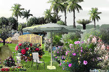 Garden design:my little island