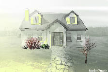 Garden design:Don & Stevie