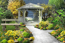 Garden design: Garden design:yellow...my version