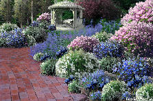 Garden design: Garden design:garden patio - my version
