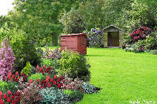 Garden design: Garden design:tulip garden