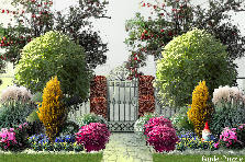 Garden design:charleston state park