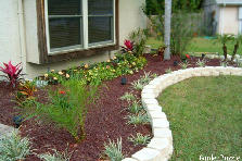 Garden design:july1