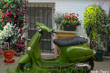 Garden design:Green scooter