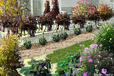 charleston in summer - Autumn