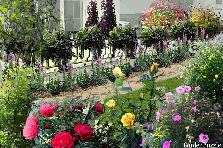 charleston in summer - Summer