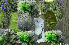 Garden design:The Rabbit Garden 