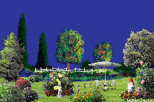 Garden design:my back yard