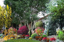 Garden design:The one that got away