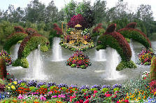 Garden design:I have only moved back home for several years, but the story that surrounds this picture, not only shredded my heart, but pulled me inside the depts of the mysteries inside the ocean, and never ending love.
The story is about a 6 year old boy and his best friend, a dolphin. Garden design:A Dolphin's Tale