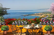Garden design:Tea and Roses.  "What a View!"