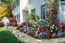 Garden design:If only....
