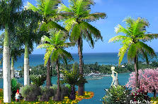 my plantation - Summer