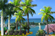 my plantation - Winter