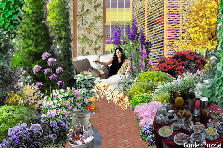 Garden design:To all my friends and visitors ....