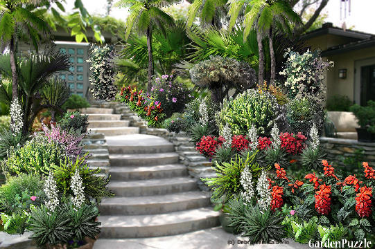 Garden design:Suuny entrance  - Summer
