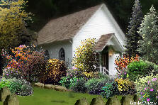 Church Garden  - Autumn