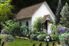 Church Garden  - Summer
