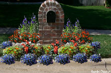 Garden design:Mailbox planter