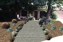 front yard - Winter