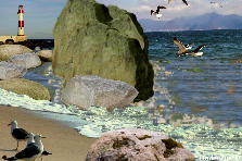 Garden design:Seagulls on the Beach Reefs-Original.
You know how I like rocks. Almost always use it in my projects. I also like making collages. I've done some with small objects, but after that I did in "Country Life" decided to try another "great". 3 photos, many rocks, some "painting" with the help of the surfaces and this is the result :) Garden design:Seagulls on the Beach Reefs.2