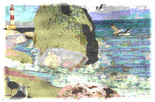 Garden design:Seagulls on the Beach Reefs-Watercolor.
I try all the effects. This is my favorite. I like the sepia, too.:)
You know how I like rocks. Almost always use it in my projects. I also like making collages. I've done some with small objects, but after that I did in "Country Life" decided to try another "great". 3 photos, many rocks, some "painting" with the help of the surfaces and this is the result :) Garden design:Seagulls on the Beach Reefs.2-Watercolor