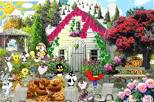 Garden design:Happy party