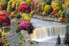 Garden design:The falls