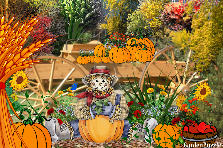 Garden design:Entrance to the the pumpkin patch.