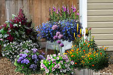 Garden design:Side yard