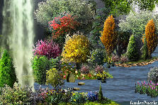 Garden design:Just the thought that sights like this exist and a possibility of happening up on one some day gives me a rainbow in my mind :)) Garden design:Rain Fall