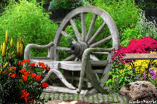 Garden design:Restful