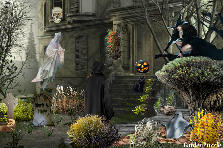 Garden design:I have always loved halloween, I take it as just a day children can dress up and pretend to be what they want to be and get candy, its kind of a win win situation. That is what my belief of halloween is.. Garden design:It's almost Spooky time