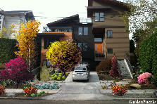 Garden design:redwood w trees2