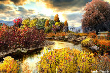 Garden design:Fall in its many splendid colors sometimes makes me sad because I know soon everything will look dead and barren but as father time moves along life begins anew.. Garden design:Autumn Wonder 1