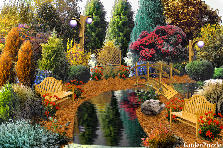 Garden design:A Wonderful Day of Colors