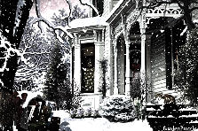 Garden design:Winter