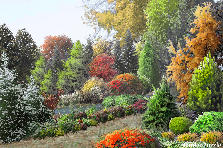 Garden design:Entering the woods.